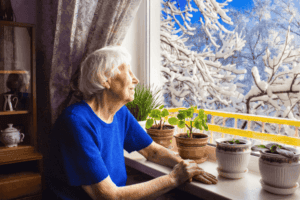 elderly in home care giver loneliness emotional support