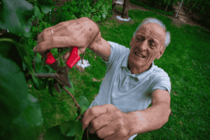 elderly in home care giver Stroke Genetic early intervention