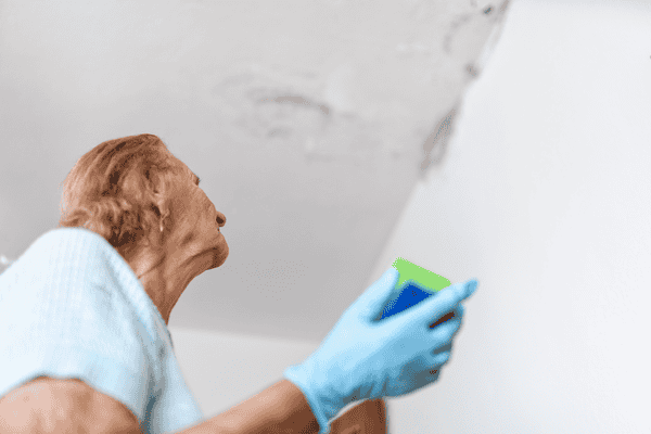 Tackling Household Mold: Shielding the Elderly from Cold and Flu Incidence