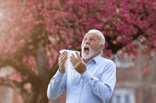 Combatting Seasonal Allergens: Strengthening Elderly Immune Response